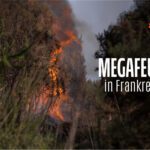 Loading